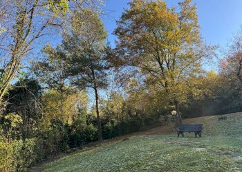 Giardino - Appartamento Via di Barbiano, Bologna (zona Colli) - foto 10