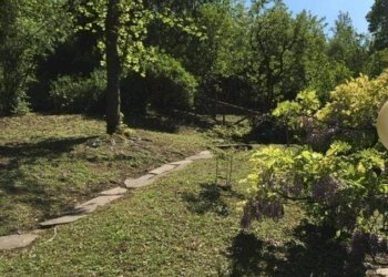 Terreno - Appartamento Via di Barbiano, Bologna (zona Colli) - foto 38