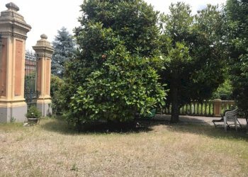 Giardino - Three-family Villa Via dell'Angelo Custode 2, Bologna (neighborhood San Ruffillo) - photo 5