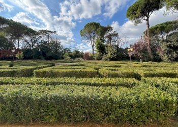 Terreno - Villa Unifamiliare Via Carlo Jussi, San Lazzaro di Savena - foto 5