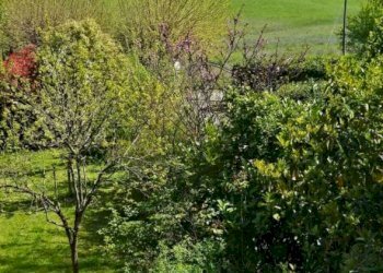 Terreno - Single Family Villa Via Cavaioni, Bologna (neighborhood Colli) - photo 3