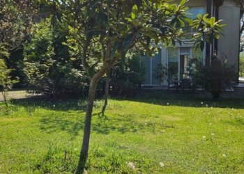 Giardino - Single Family Villa Via Cavaioni, Bologna (neighborhood Colli) - photo 6