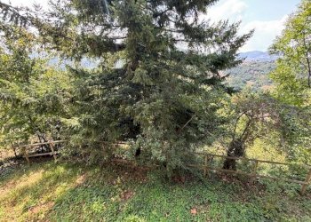 Terreno - Villa Unifamiliare Via Vittime Rapido 904, San Benedetto Val di Sambro - foto 5