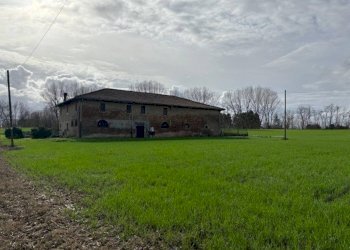 Terreno - Rustico Via Argini, Minerbio - foto 3