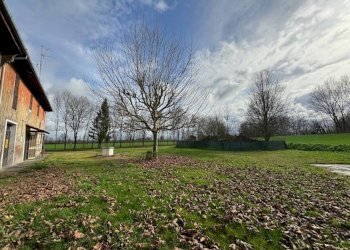 Terreno - Rustico Via Argini, Minerbio - foto 8