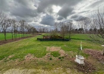 Terreno - Rustico Via Argini, Minerbio - foto 10