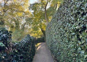 Giardino - Appartamento Località Castell'Arienti, Bologna (zona Colli) - foto 9