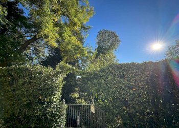 Vista - Appartamento Località Castell'Arienti, Bologna (zona Colli) - foto 10