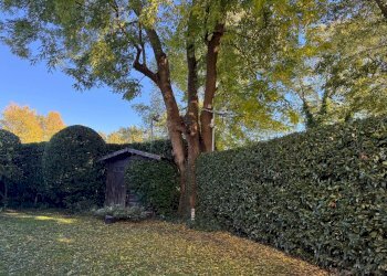 Terreno - Appartamento Località Castell'Arienti, Bologna (zona Colli) - foto 15