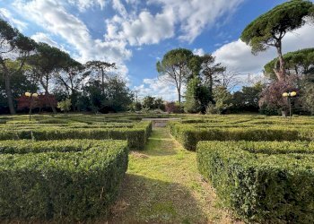 Terreno - Single Family Villa Via Carlo Jussi, San Lazzaro di Savena - photo 6