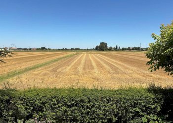 Terreno - Villa Unifamiliare Via Pozzo, Budrio - foto 30