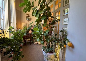 Interno palazzo - Appartamento Viale Antonio Aldini, Bologna (zona Saragozza) - foto 9