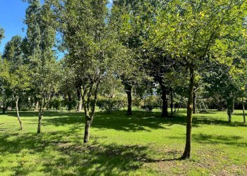 Terreno - Casa Colonica Via Caduti per la Libertà 99, Castenaso - foto 15