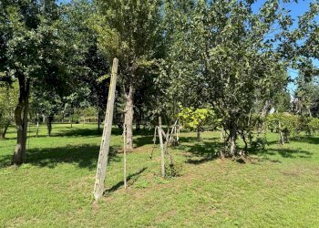 Terreno - Casa Colonica Via Caduti per la Libertà 99, Castenaso - foto 21