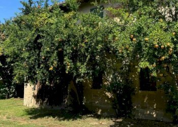 Terreno - Casa Colonica Via Caduti per la Libertà 99, Castenaso - foto 22