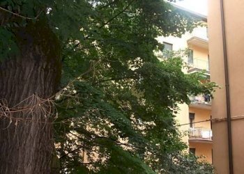 Facciata - Appartamento Via Saragozza 167, Bologna (zona Saragozza) - foto 25