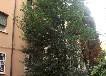 Facciata - Appartamento Via Saragozza 167, Bologna (zona Saragozza) - foto 26