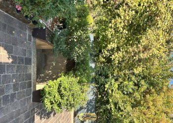 Giardino - Villa Unifamiliare Via Ca' Priva, Castel San Pietro Terme - foto 36