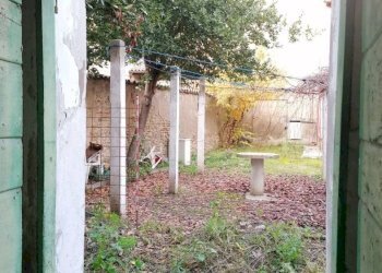 Giardino - Terratetto - Terracielo Via Aurelio Saffi, Forlimpopoli - foto 19