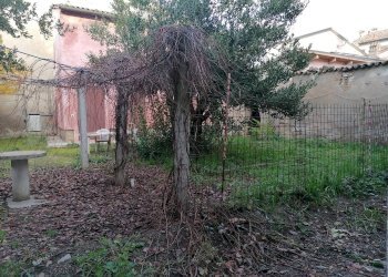 Terreno - Terratetto - Terracielo Via Aurelio Saffi, Forlimpopoli - foto 20