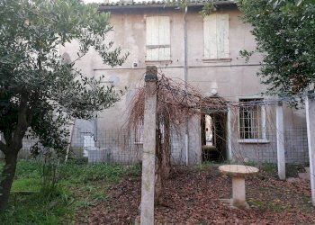 Giardino - Terratetto - Terracielo Via Aurelio Saffi, Forlimpopoli - foto 22