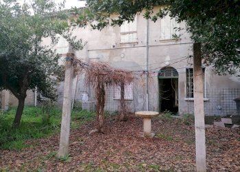 Giardino - Terratetto - Terracielo Via Aurelio Saffi, Forlimpopoli - foto 23