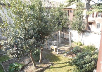 Giardino - Terratetto - Terracielo Via Aurelio Saffi, Forlimpopoli - foto 28