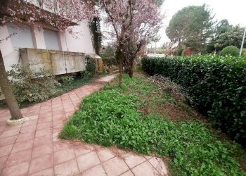 Giardino - Single Family Villa Via Giovanni Amendola 75, Castel San Pietro Terme - photo 6