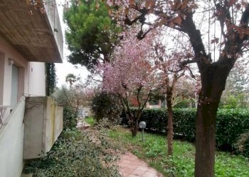 Giardino - Single Family Villa Via Giovanni Amendola 75, Castel San Pietro Terme - photo 8