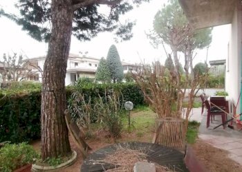 Giardino - Single Family Villa Via Giovanni Amendola 75, Castel San Pietro Terme - photo 54