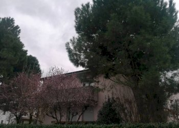 Giardino - Single Family Villa Via Giovanni Amendola 75, Castel San Pietro Terme - photo 58