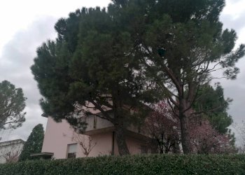 Facciata - Single Family Villa Via Giovanni Amendola 75, Castel San Pietro Terme - photo 59