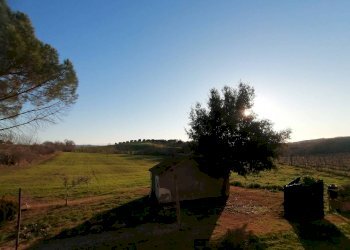 Terreno - Casale Strada Provinciale Usi, Manciano - photo 19