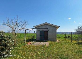Terreno - Casa Colonica Strada Provinciale Parrina, Orbetello - foto 54