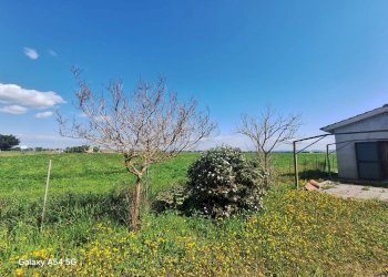 Terreno - Casa Colonica Strada Provinciale Parrina, Orbetello - foto 55