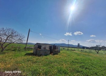 Terreno - Casa Colonica Strada Provinciale Parrina, Orbetello - foto 58