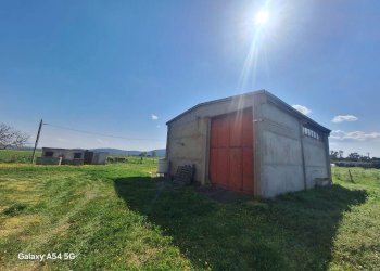 Terreno - Casa Colonica Strada Provinciale Parrina, Orbetello - foto 60