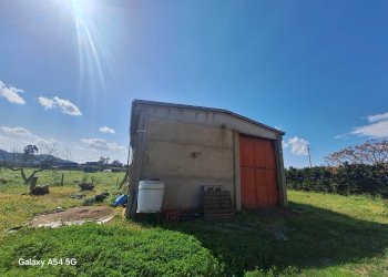 Terreno - Casa Colonica Strada Provinciale Parrina, Orbetello - foto 62