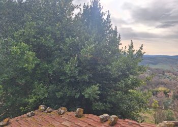 Vista - Townhouse Località Poggio Murella, Manciano - photo 37