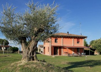 Terreno - Villa Unifamiliare Via Ragone, Ravenna - foto 1