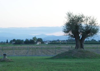 Terreno - Villa Unifamiliare Via Ragone, Ravenna - foto 50