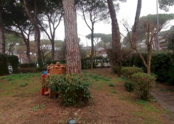 Terreno - Appartamento Via del Correggio, Cervia - foto 14