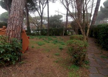 Giardino - Appartamento Via del Correggio, Cervia - foto 16