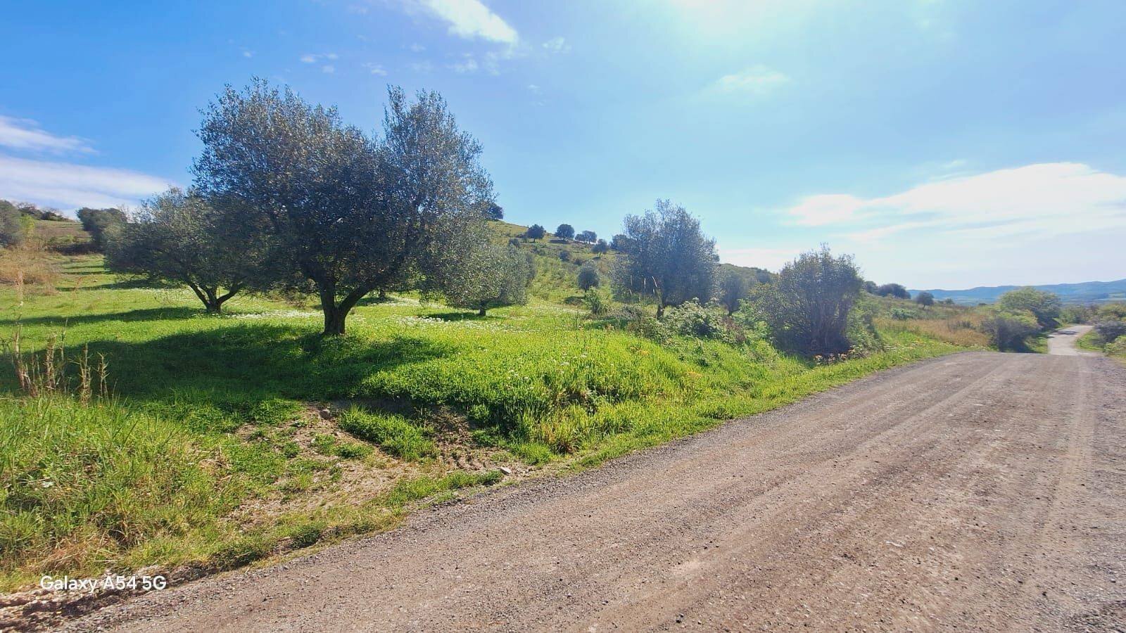 Terreno - Terreno agricolo Podere Ai della Colonna, Roccalbegna - foto 2