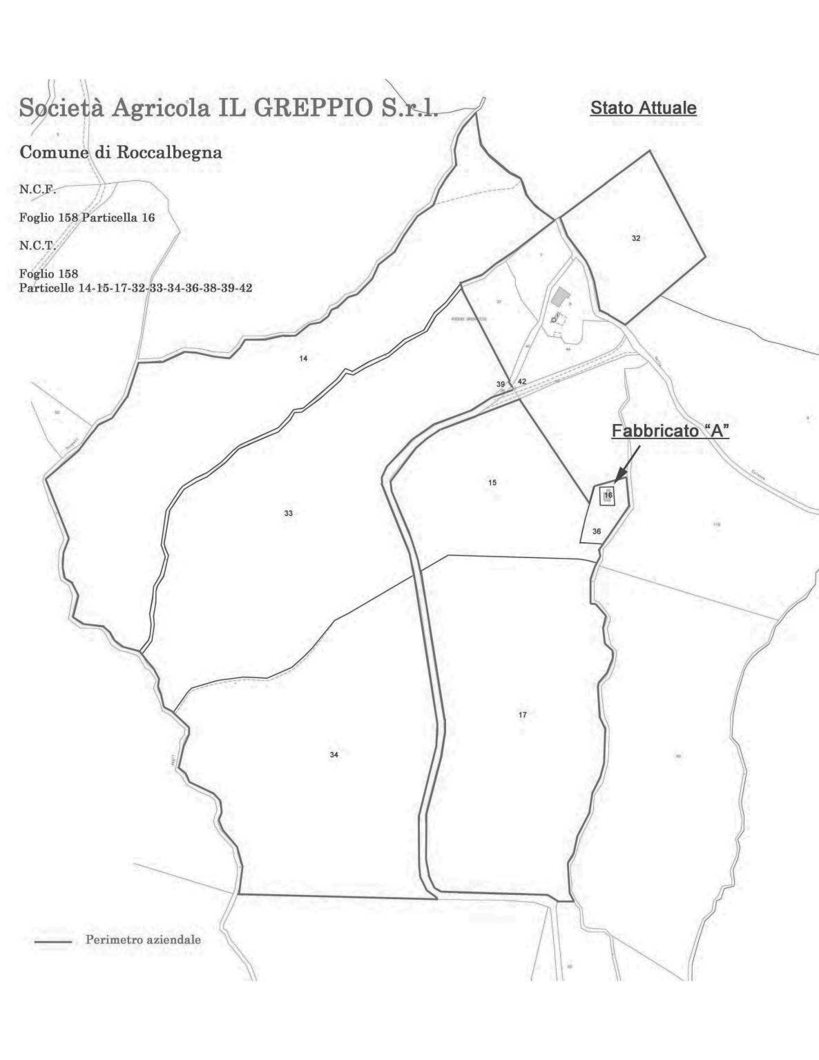 planimetria catastale 1 - Terreno agricolo Podere Ai della Colonna, Roccalbegna - planimetria 1