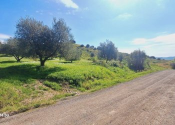 Terreno - Terreno agricolo Podere Ai della Colonna, Roccalbegna - foto 2