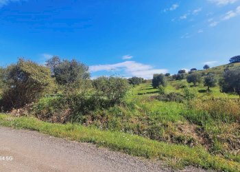 Terreno - Terreno agricolo Podere Ai della Colonna, Roccalbegna - foto 5