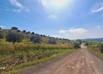 Terreno - Terreno agricolo Podere Ai della Colonna, Roccalbegna - foto 6