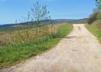 Terreno - Terreno agricolo Podere Ai della Colonna, Roccalbegna - foto 7