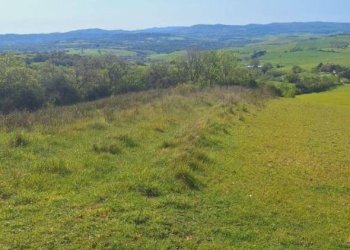 Terreno - Terreno agricolo Podere Ai della Colonna, Roccalbegna - foto 8